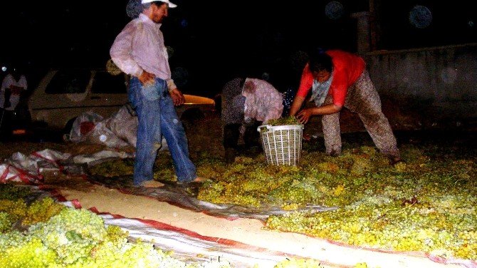Üzüm Üreticisi Fiyat Belirsizliğinin Giderilmesini Bekliyor