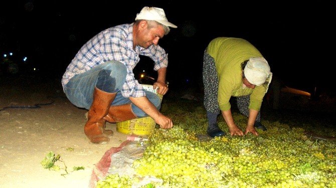Üzüm Üreticisi Fiyat Belirsizliğinin Giderilmesini Bekliyor