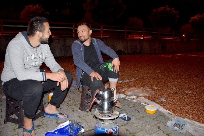 Üretici Fındığını Gözü Gibi Koruyor