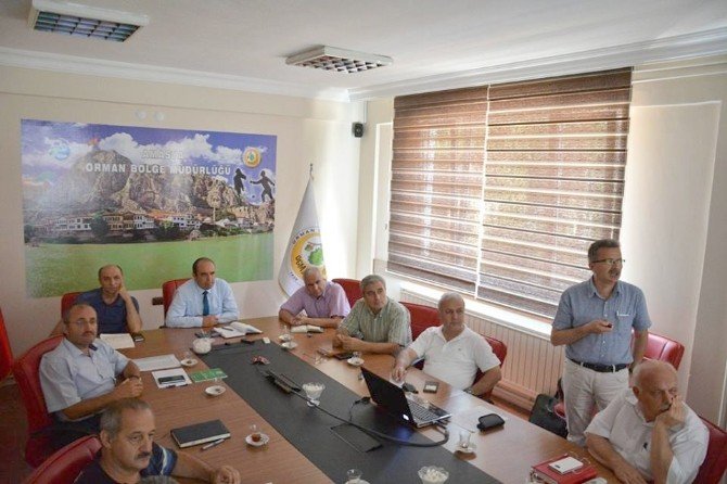 Amasya Obm’den Orman Yangını Uyarısı