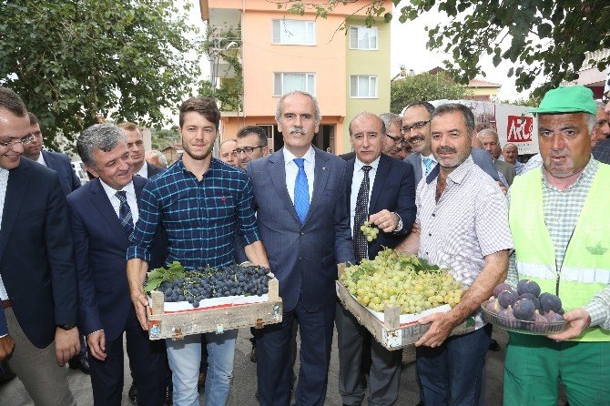 İlk Siyah İncir İhracatı Almanya’ya