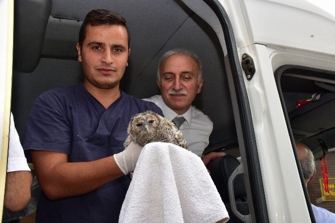 Valiler Kuş Cenneti’ne Hayran Kaldı