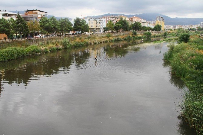 Samsun’da Korkutan Balık Ölümleri