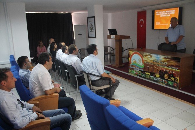 Yenipazar’da Sütler Artık Daha Değerli