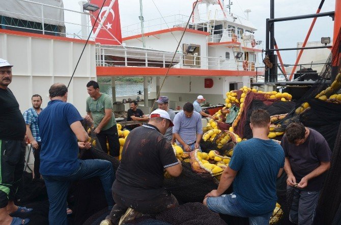 Balıkçılar