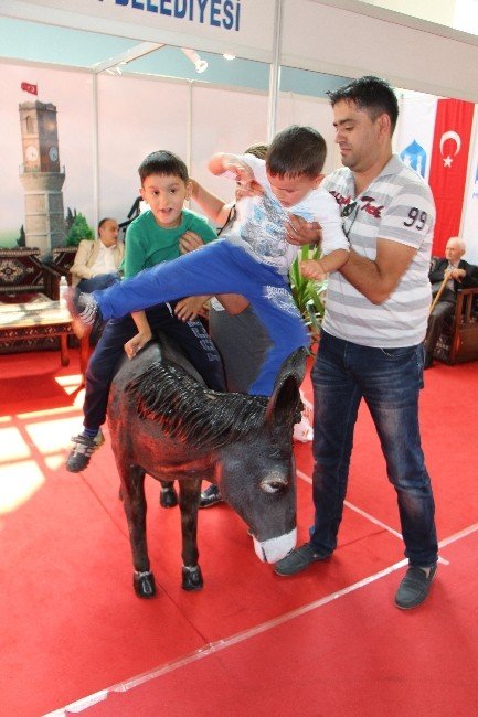 ’Merzifon Eşeği’ni Arıyorlar