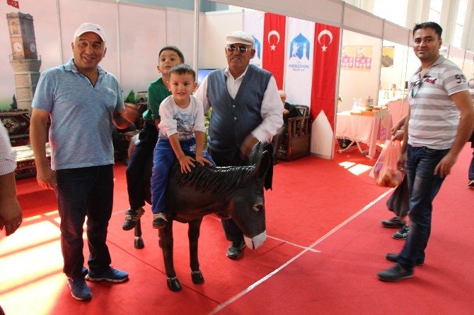 ’Merzifon Eşeği’ni Arıyorlar