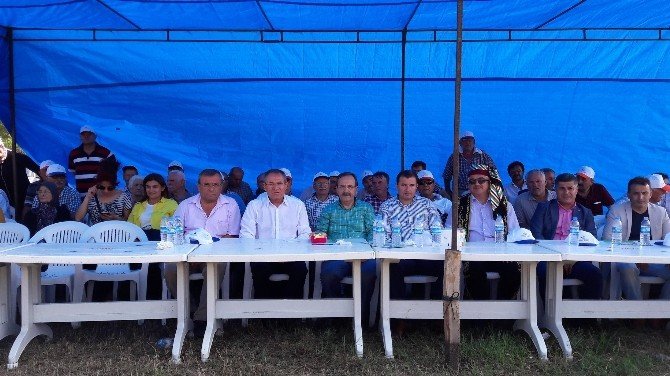 Karadede Panayırı’na Büyük İlgi
