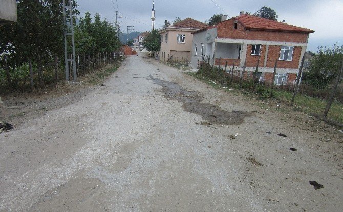 Görme Engelli Sürücü, İşitme Engelli Yayaya Çarptı