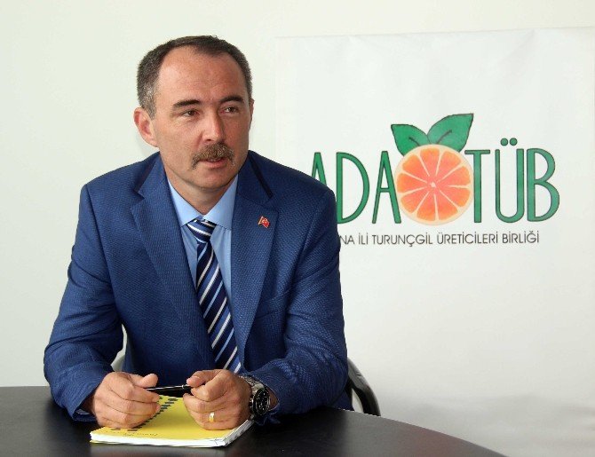 Turunçgil Üreticisinin Gözü Kulağı Rusya’da