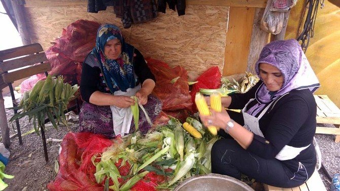 Ordulu Kadınların Kış Hazırlığı