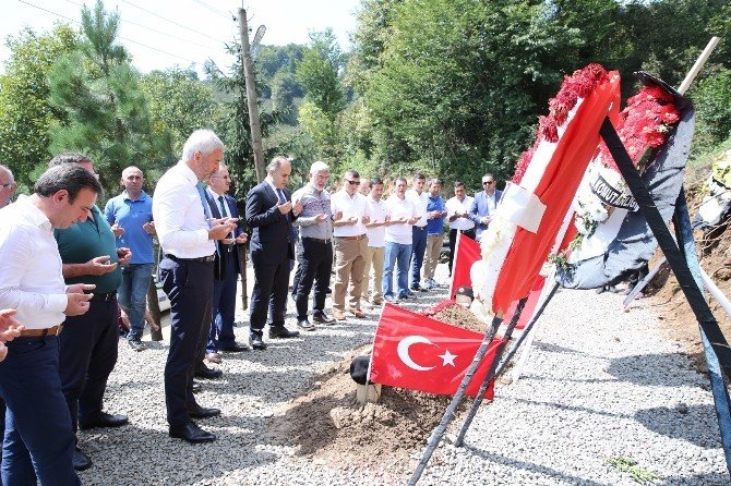 Şehide Vefa