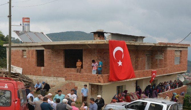 Şehide Vefa
