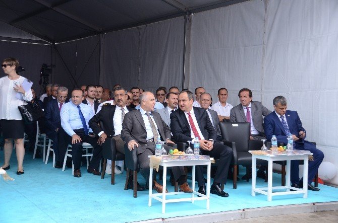 2016-2017 Fındık İhraç Sezonu Giresun’da Açıldı