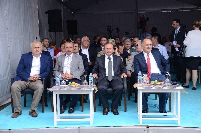 2016-2017 Fındık İhraç Sezonu Giresun’da Açıldı