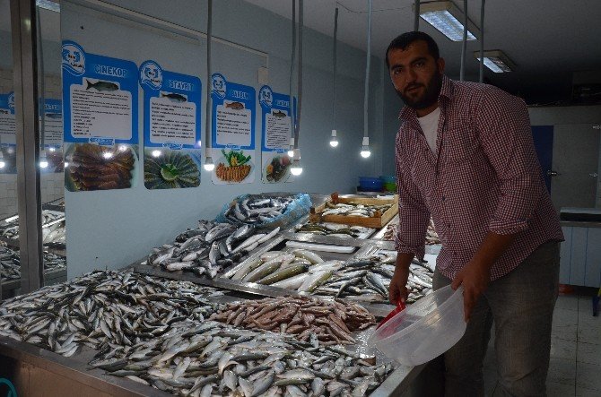Balıkçı Tezgahları Şenlenmeye Başladı