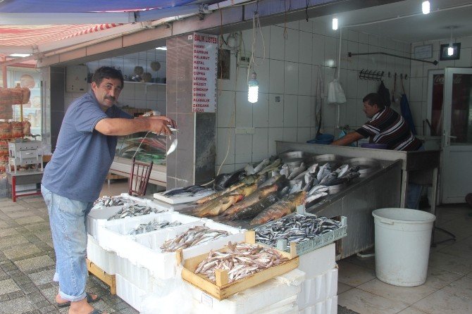 Balık Sezonu Açıldı, Tezgahlar Şenlendi