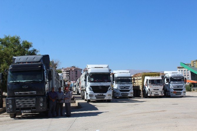 Malatya Şeker Fabrikası Pancar Alımına Başladı