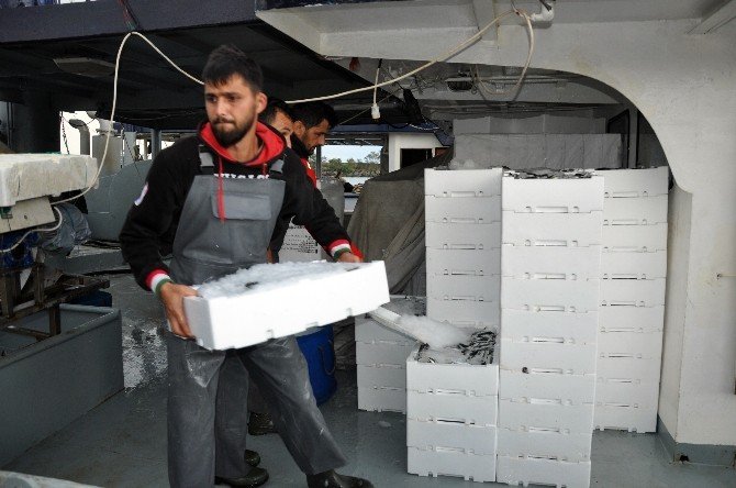 Av Yasağı Bitti, Balık Sezonu Açıldı