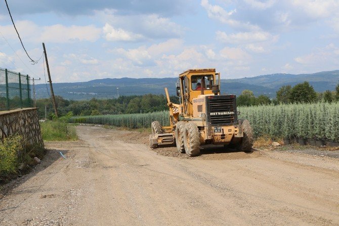 Sapanca’da 4 Kilometrelik Yol Alternatif Bir Düzergah Olarak Düzenleniyor