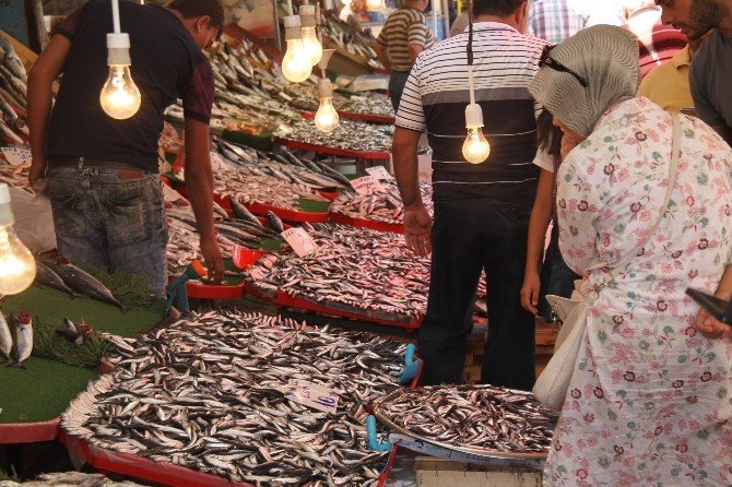 Av Sezonu Açıldı, Balıklar Tezgahları Şenlendirdi