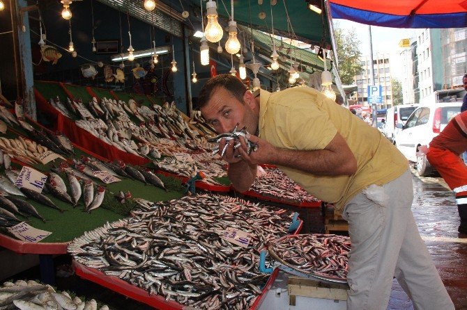 Av Sezonu Açıldı, Balıklar Tezgahları Şenlendirdi