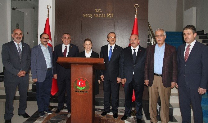 Ak Parti Genel Başkan Yardımcısı Çalık: “Terör Örgütleriyle Eş Zamanlı Mücadele Edeceğiz”
