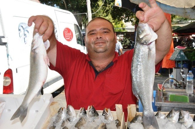 Av Yasağı Bitti, Balık Tezgahları Hareketlendi