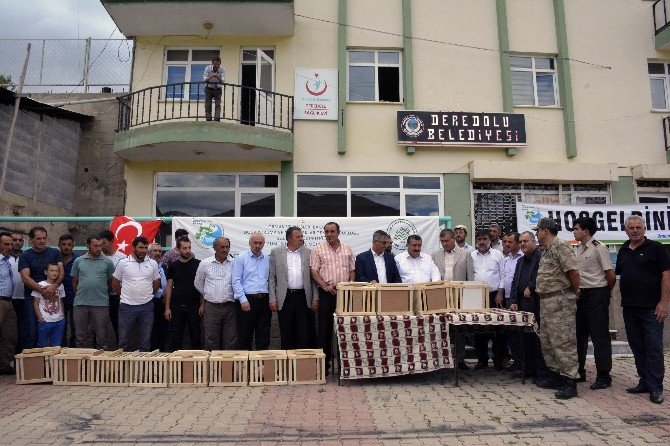 Gümüşhane’de Beç Tavuğu Dağıtımı Devam Ediyor