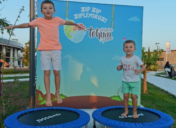 ‘Tohum Platosu’ Expo 2016’ya Kuruldu