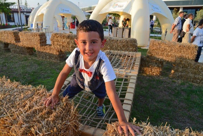 ‘Tohum Platosu’ Expo 2016’ya Kuruldu