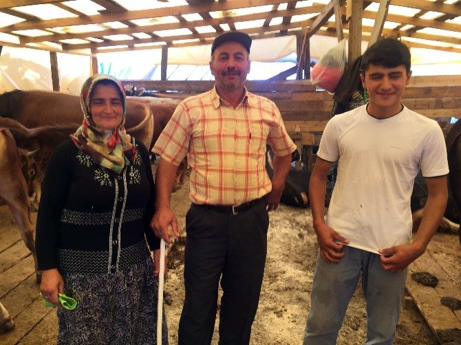 Hayvan Pazarında Kıyasıya Kurbanlık Pazarlığı
