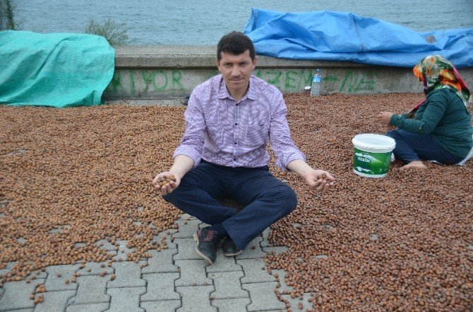 Rekolte Düşük, Beklenti Büyük