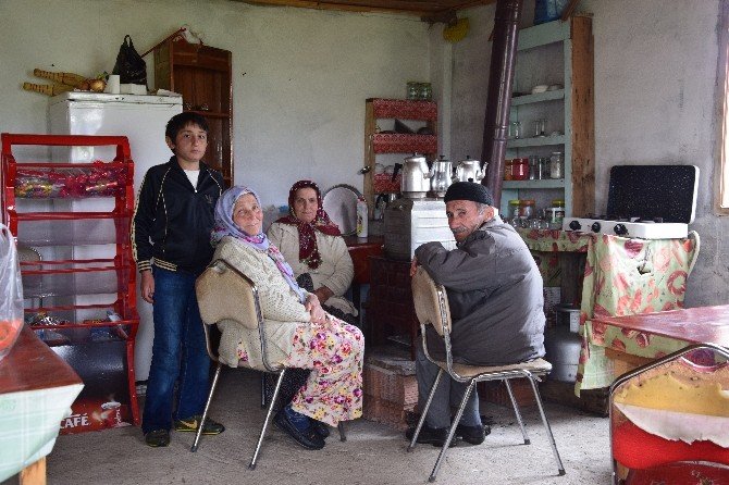 Karadeniz Yaylalarında Pazar Ve Göçebelik Hayatı Sürdürülüyor