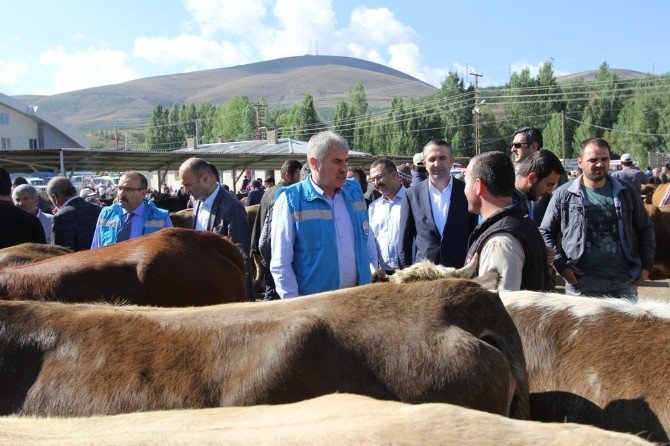Vali Ustaoğlu Ve Başkan Memiş Kurban Pazarını İnceledi