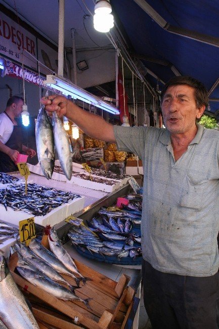 Palamut Tezgahlarda Kendini Göstermeye Başladı