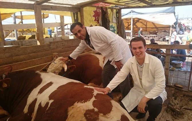 Kurban Kesiminde Sağlıklı Koşullara Dikkat