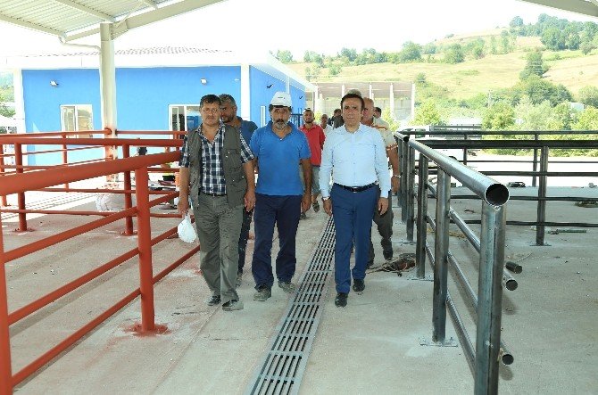 Canik’ten Modern Kurban Satış Yeri