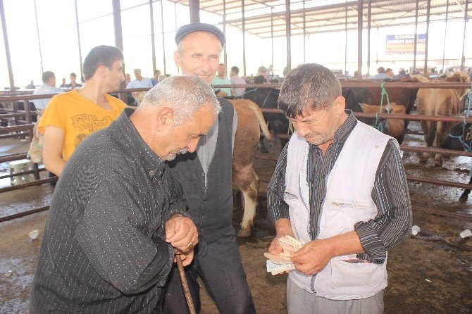 Vatandaş Kurbanlık Arayışına Hız Verdi