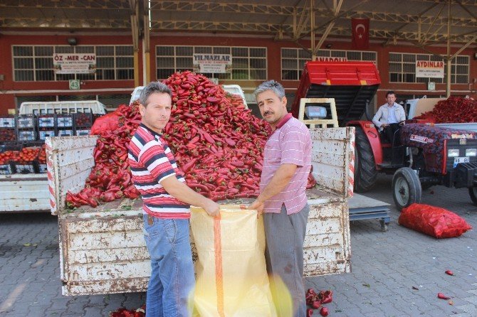 Sebze Halinde ‘Kırmızıbiber’ Yoğunluğu