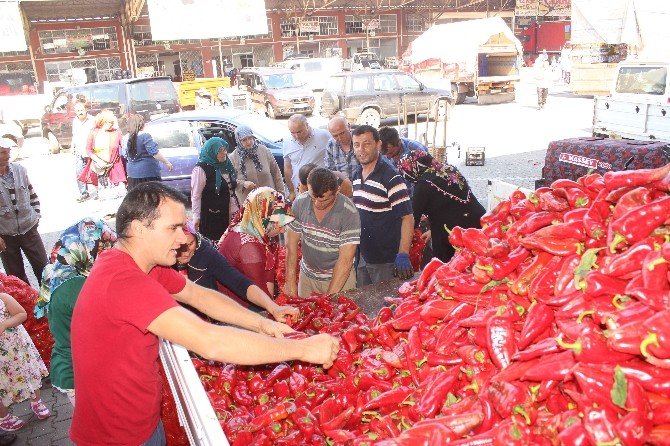 Sebze Halinde ‘Kırmızıbiber’ Yoğunluğu
