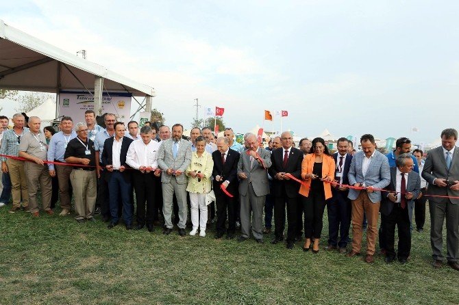 Karaevli Tarım Ve Teknoloji Günleri Fuarı Açıldı