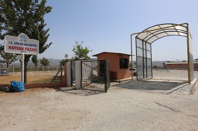 Efeler, Bayrama Hazır