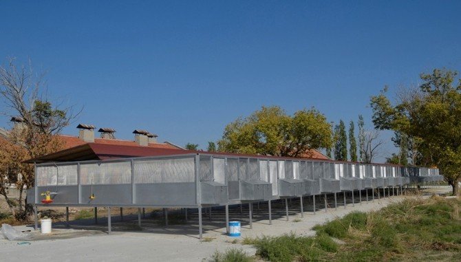 Orman Ve Su İşleri Bakanlığı Tabiatı Destekleme Çalışmalarına Devam Ediyor