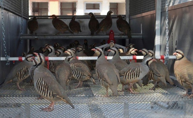 Orman Ve Su İşleri Bakanlığı Tabiatı Destekleme Çalışmalarına Devam Ediyor