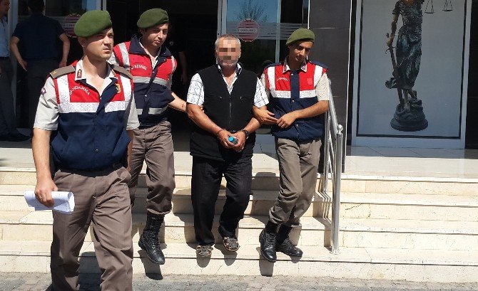 Bafra’da Hayvan Hırsızlığı Zanlısı Tutuklandı