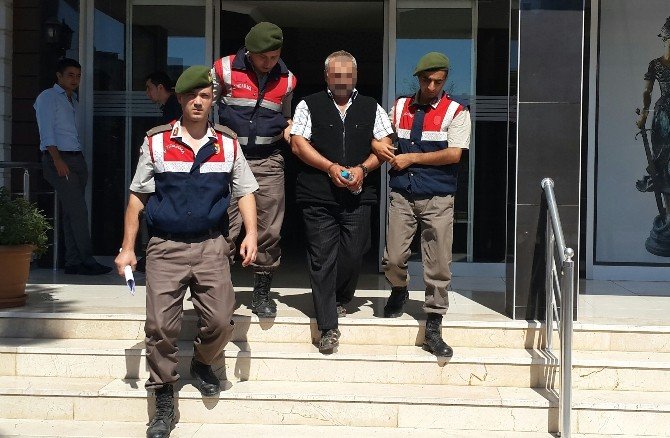 Bafra’da Hayvan Hırsızlığı Zanlısı Tutuklandı