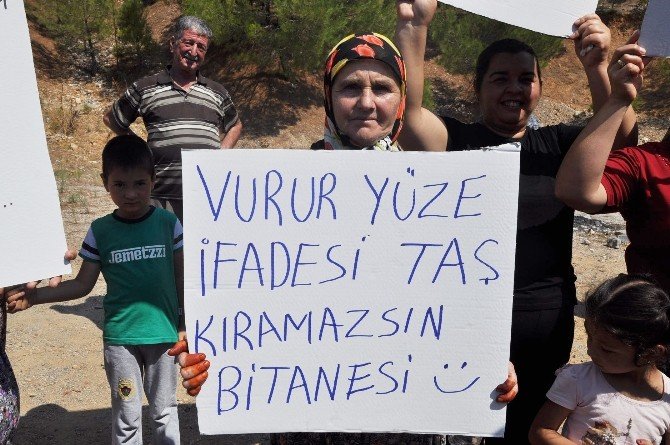 70’lik Teyze: "Vurur Yüze İfadesi, Kıramazsın Bi Tanesi"
