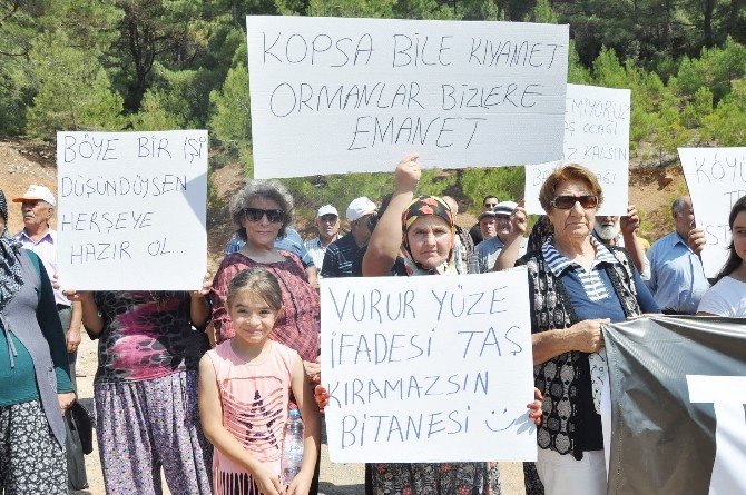 70’lik Teyze: "Vurur Yüze İfadesi, Kıramazsın Bi Tanesi"