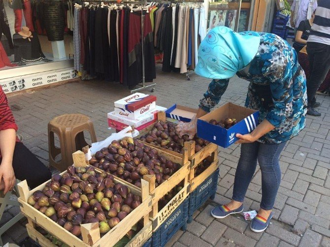 İncir Alternatif Gelir Kaynağı Oldu